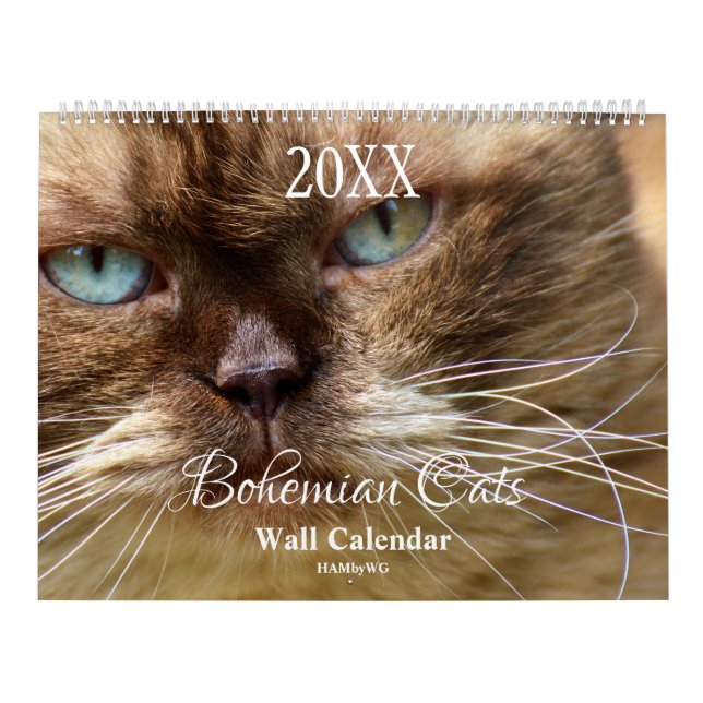 Calendrier HAMbyWG - Chats Bohémiens (Protection)