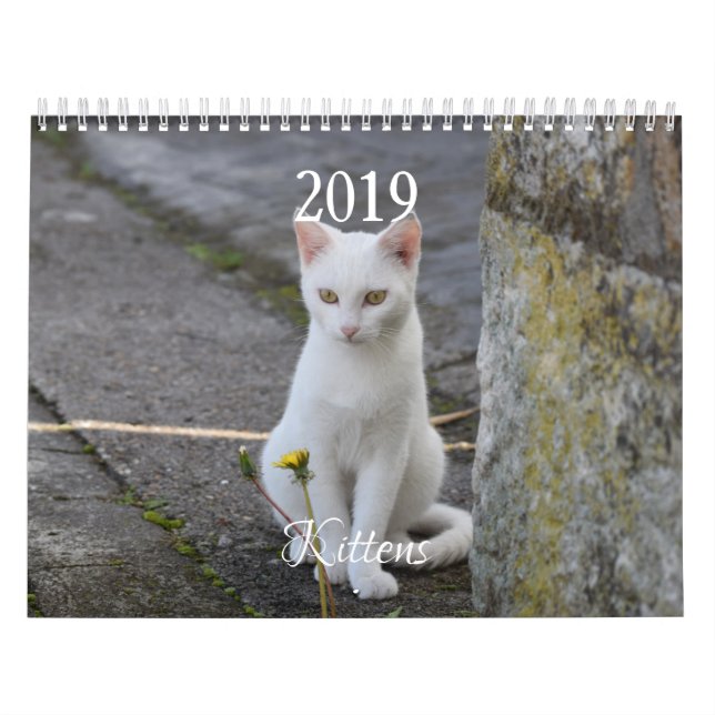 Calendrier HAMbyWG Kitten (Protection)