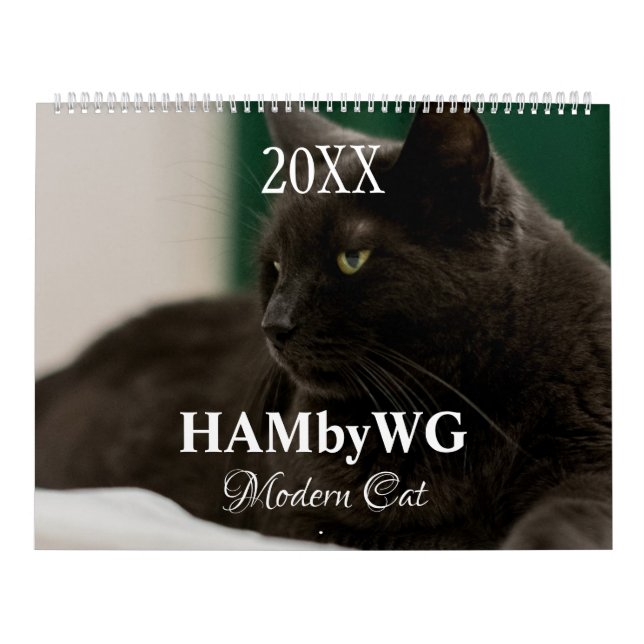 Calendrier HAMbyWG Modern Cats (Protection)
