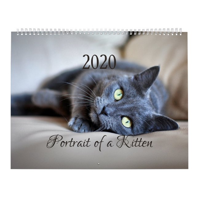 Calendrier HAMbyWG- Portrait d'un chaton (Protection)
