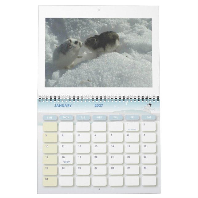 Calendrier hamster1, HAMSTERS, 2008 calender (Jan 2027)