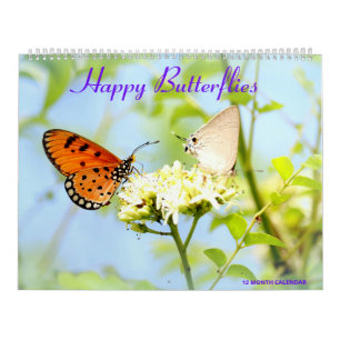 Calendrier Happy Butterflies