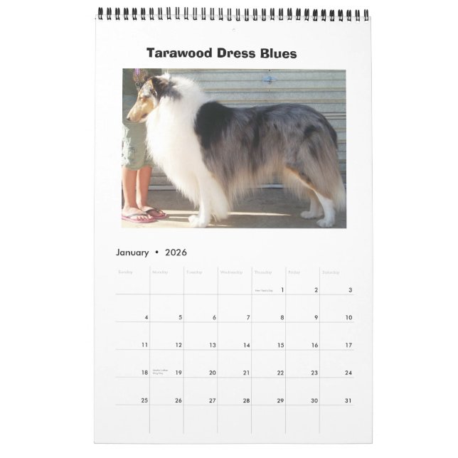 Calendrier Harley Collies (Jan 2026)