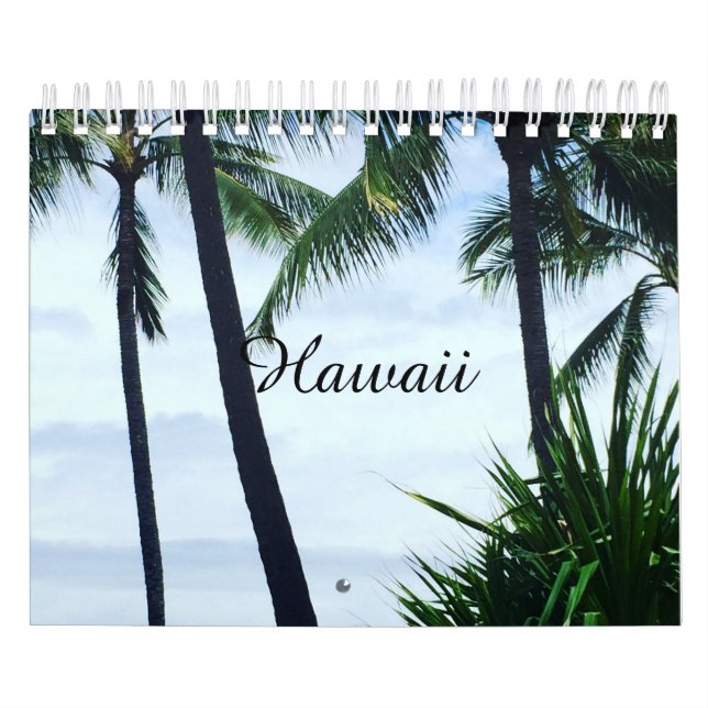 Calendrier Hawaii (Protection)