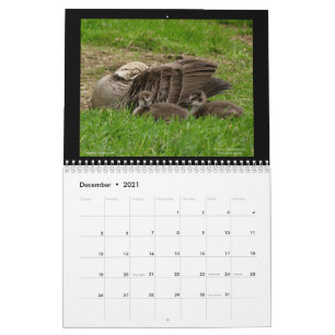 Calendrier Hawaii's Jewels 2021