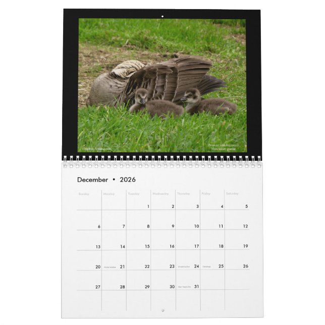 Calendrier Hawaii's Jewels 2021 (Dec 2026)