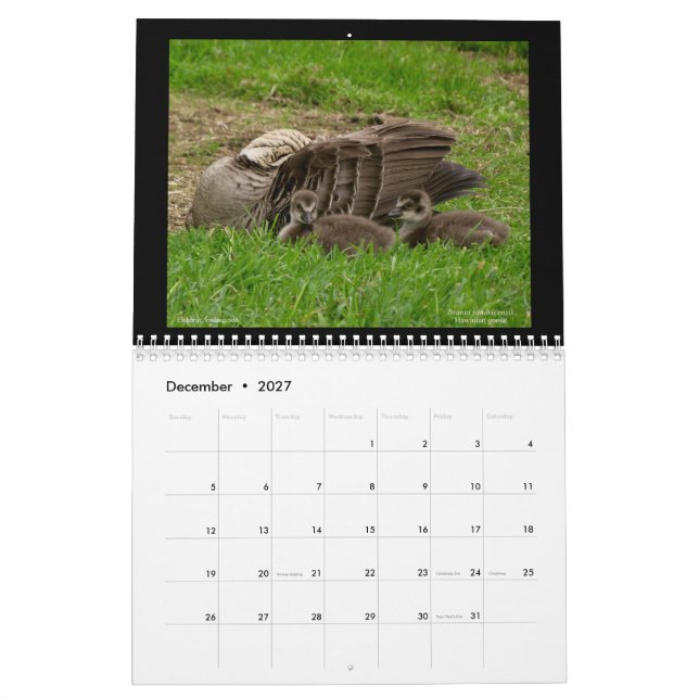 Calendrier Hawaii's Jewels 2021 (Dec 2027)