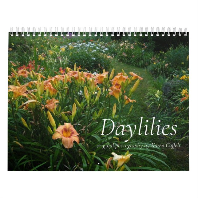 Calendrier Hemerocallis hybride coloré de Dayliles (Protection)