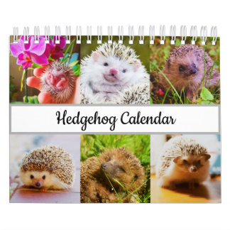 Calendrier Hérisson