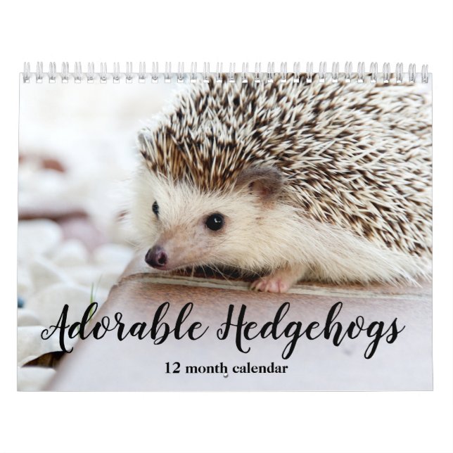 Calendrier Hérisson adorable 2026 (Protection)