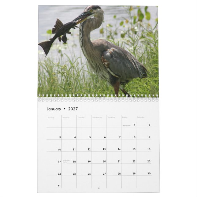 CALENDRIER HÉRON DE GRAND BLEU (Jan 2027)