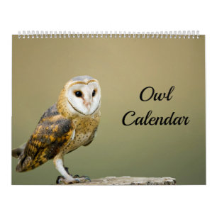 Calendrier Hibou