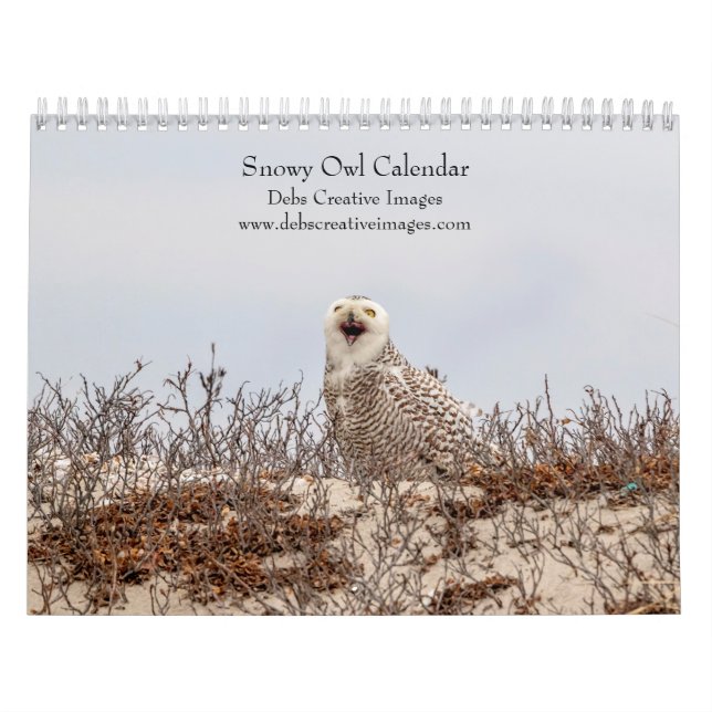 Calendrier Hibou des neiges 2026 (Protection)