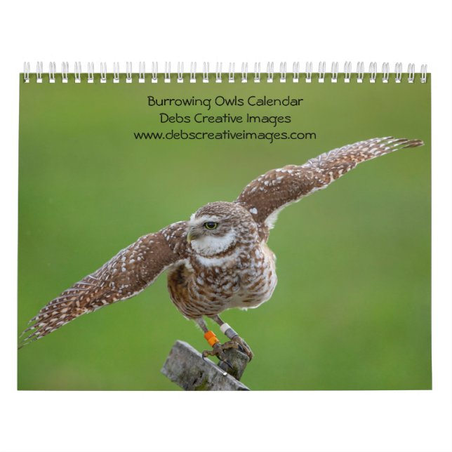Calendrier Hibou des terriers 2026 (Protection)