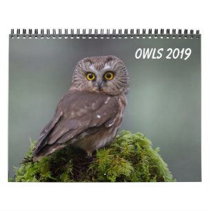 Calendrier Hiboux 2019
