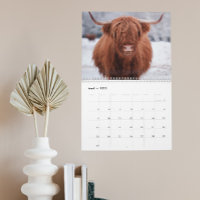 Highland Cows Farm Animal Scotland Toute année