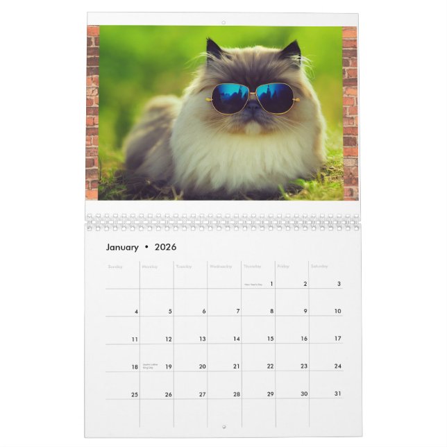 Calendrier Hip Cool Cats 2023, Planificateur de ca (Jan 2026)