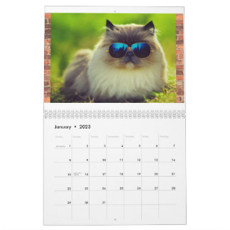 Calendrier Hip Cool Cats 2023, Planificateur de ca