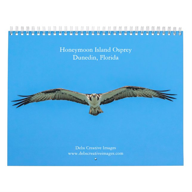 Calendrier Honeymoon Island Osprey 2026 (Protection)