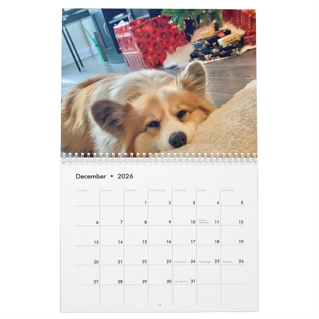 Calendrier Hudson et Fluffy Corgi 2021 (Dec 2026)
