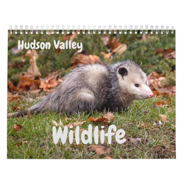 Calendrier Hudson Valley Wildlife (Protection)