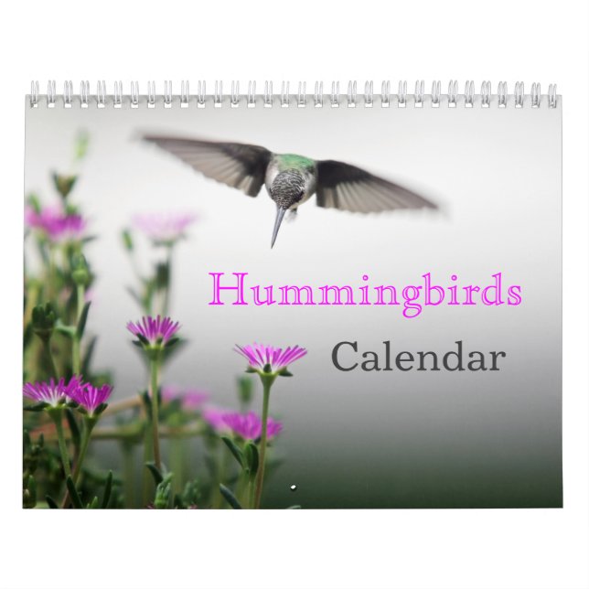 Calendrier HUMMINGBIRDS (Protection)