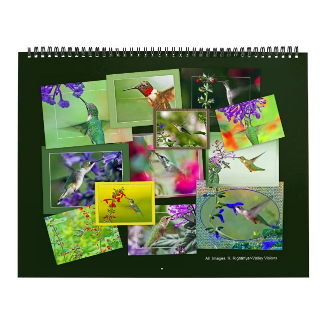 Calendrier HUMMINGBIRDS (Protection)