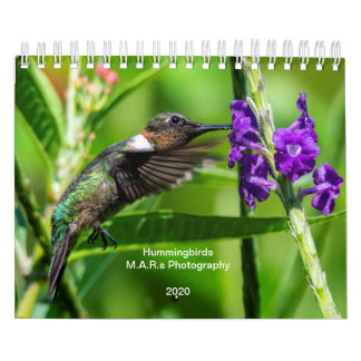 Calendrier Hummingbirds 2020