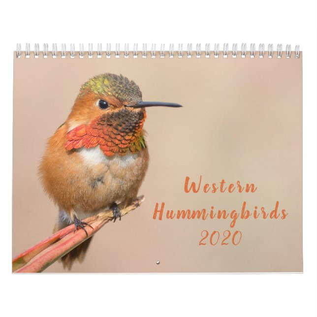 Calendrier Hummingbirds de l'Ouest 2020 (Protection)