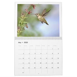 Calendrier Hummingbirds of California 2020 Calendar