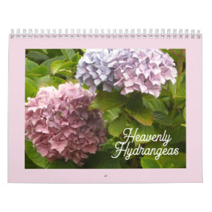 Calendrier Hydrangeas Célestes