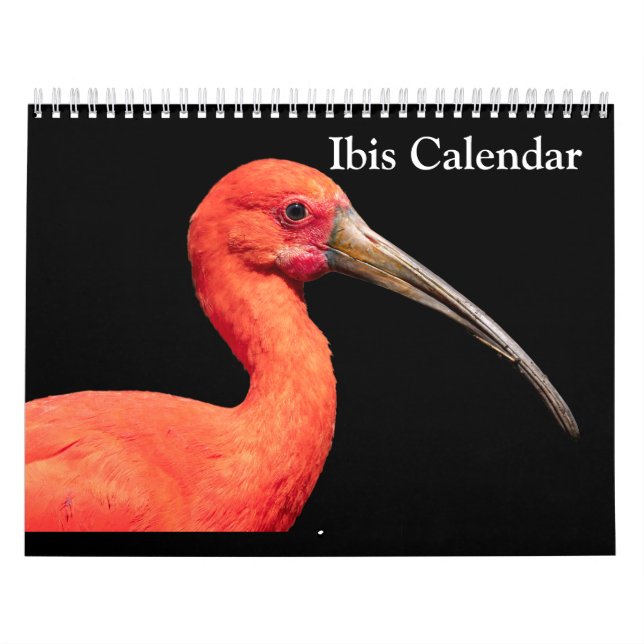 Calendrier Ibis 2027 (Protection)