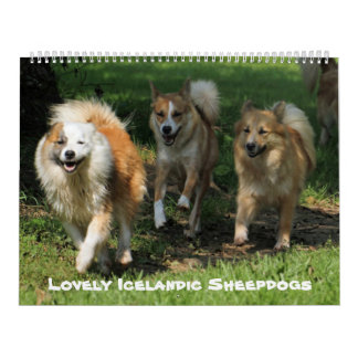 Calendrier IcelandicSheepdog 001