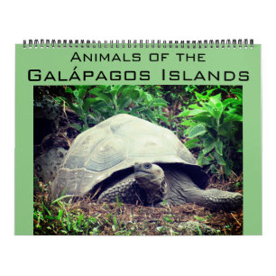 Calendrier îles galapagos animaux 2025 grand