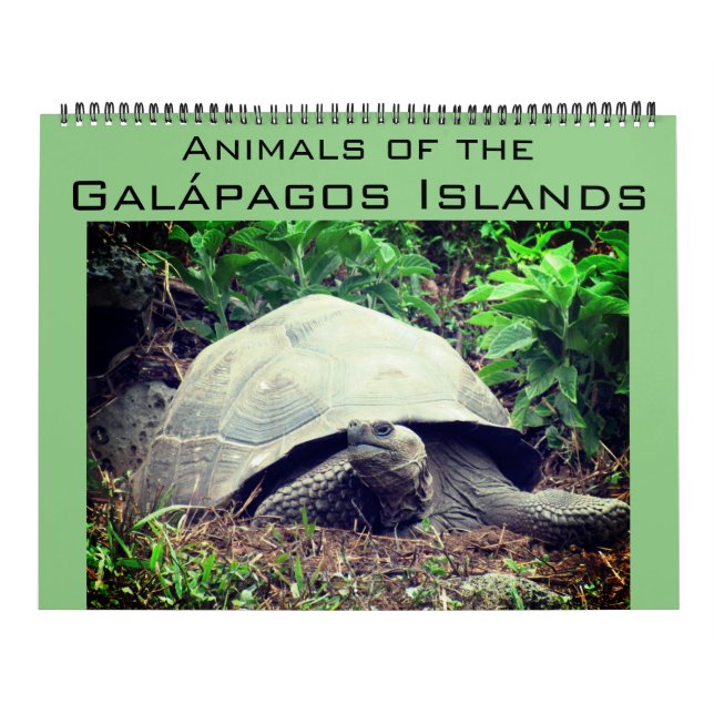 Calendrier îles Galapagos animaux 2026 grand (Protection)