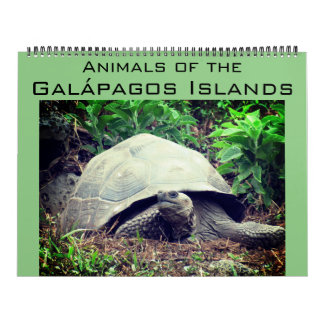 Calendrier îles Galapagos animaux 2026 grand