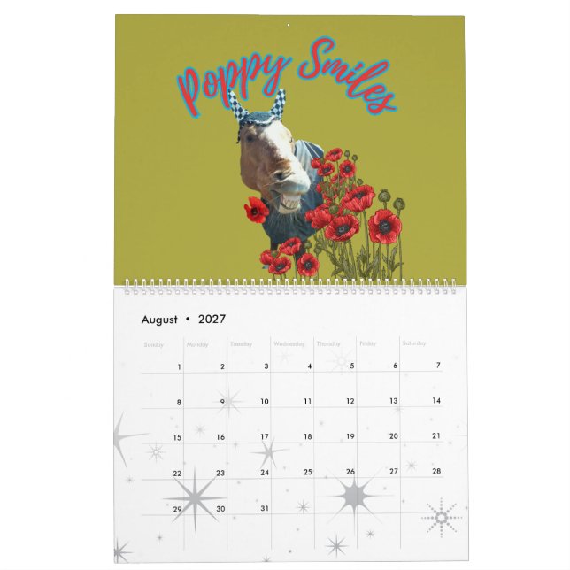 Calendrier illustrations de chevaux amusantes de mon calendri (Aug 2027)