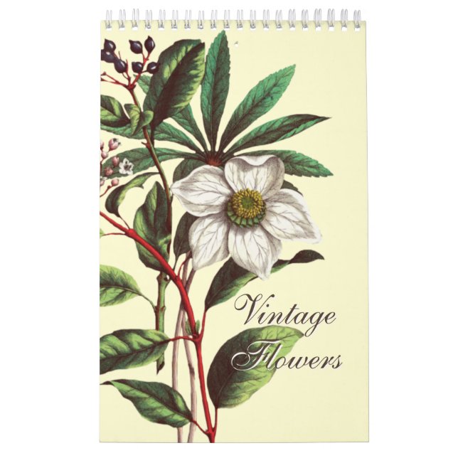 Calendrier Illustrations de fleurs botaniques élégantes de st (Protection)