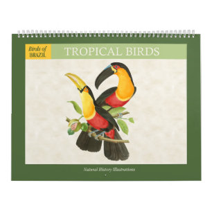 Calendrier Illustrations vintages des oiseaux tropicaux 2026