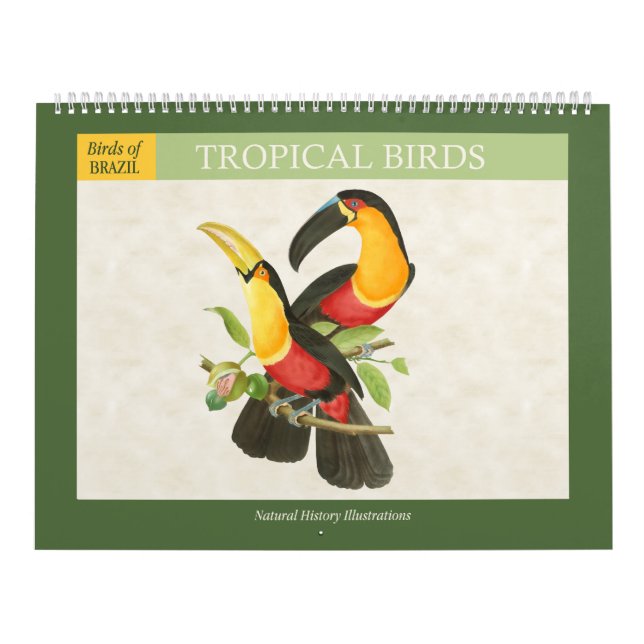 Calendrier Illustrations vintages des oiseaux tropicaux 2026 (Protection)