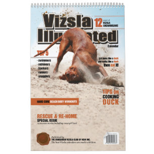 Calendrier illustré Vizsla