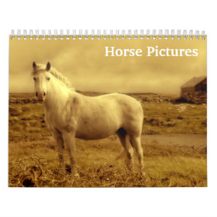 Calendrier Images de chevaux 2027 