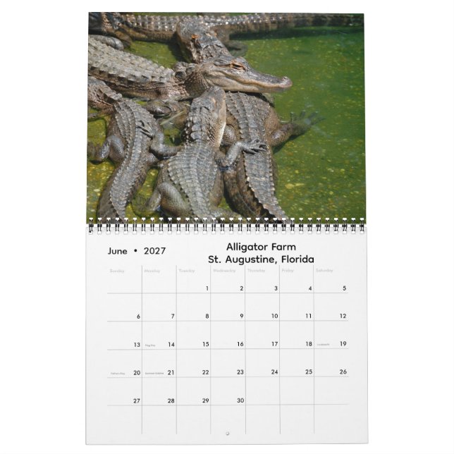 Calendrier Impressions of Florida 2026 Calendar (Jun 2027)