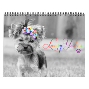 Calendrier imprimé par coutume de luxe de Yorkies