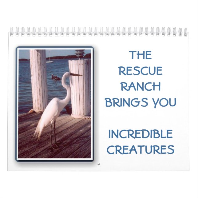 Calendrier incroyable de la créature 2014 (Protection)