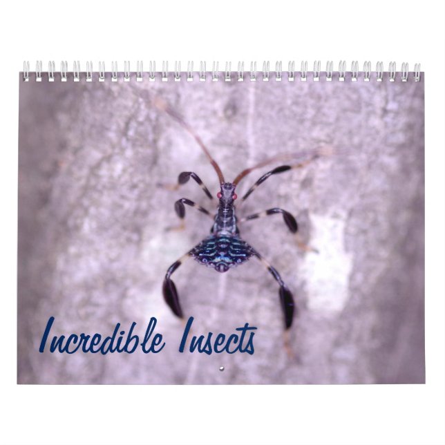 Calendrier incroyable d'insectes (Protection)