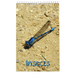 Calendrier - Insectes, vol.2