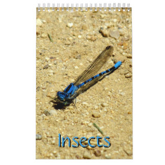 Calendrier - Insectes, vol.2