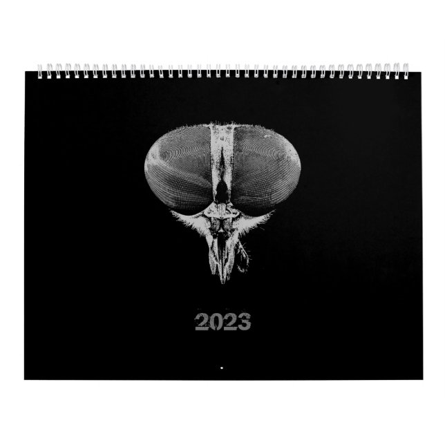 Calendrier Insects minimalistes noirs et blancs - Bugs 2023 (Protection)