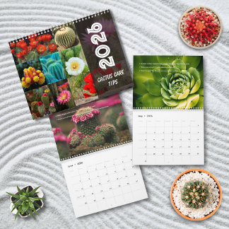 Calendrier Inspiration mensuelle de plantes du désert par Cac